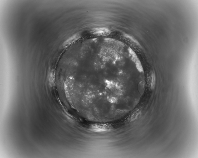 X0000084520757200703161547