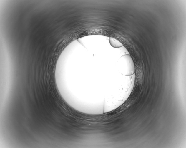 X0000084520758200703161547