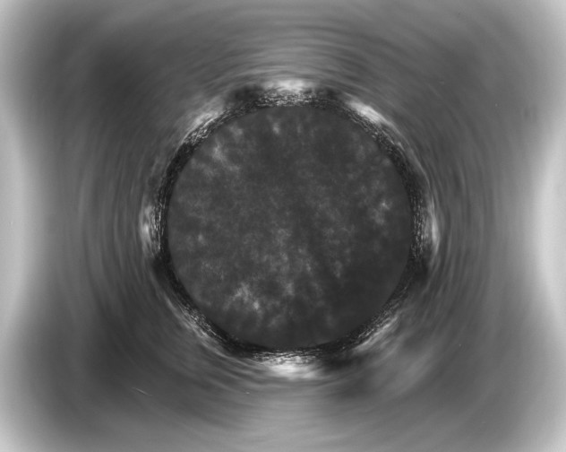 X0000084520759200703161547