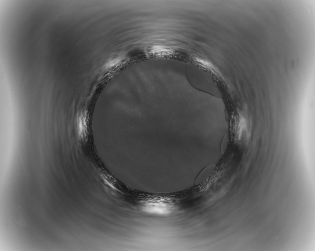 X0000084520760200703161547