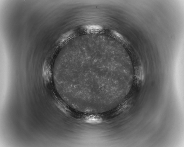 X0000084520761200703161547