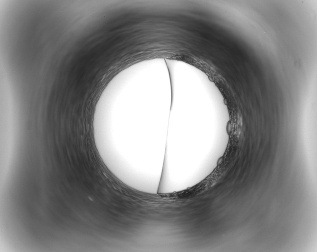 X0000084520763200703161547