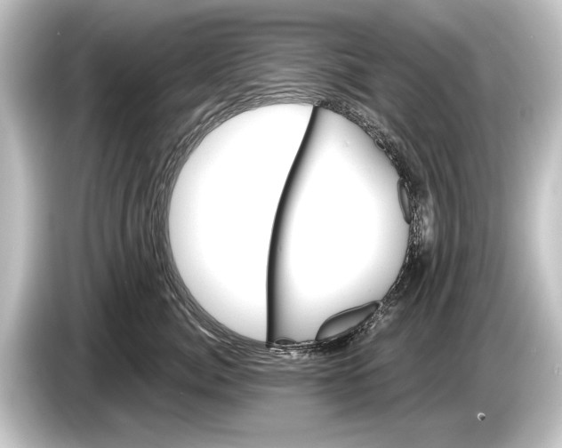 X0000084520764200703161547