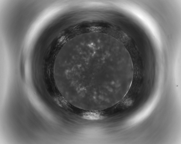 X0000084520765200703161547