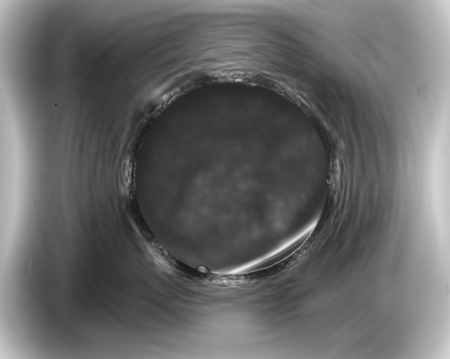 X0000084520767200703161547