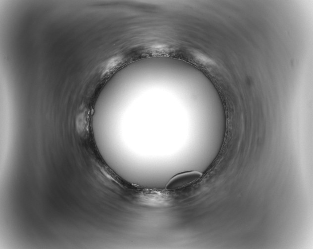 X0000084520768200703161547