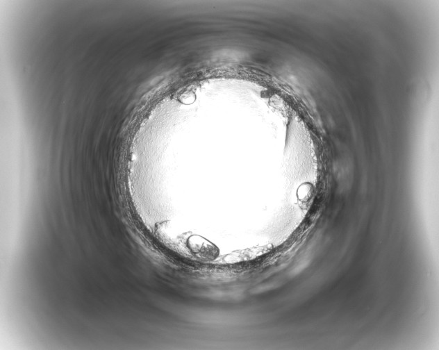 X0000084520769200703161547