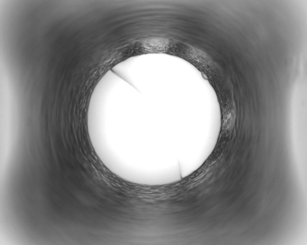 X0000084520772200703161547