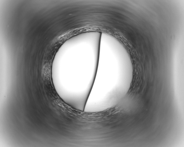 X0000084520773200703161547