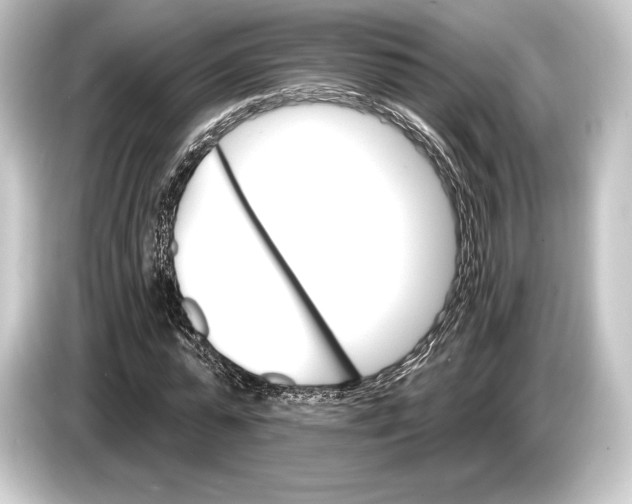 X0000084520775200703161547