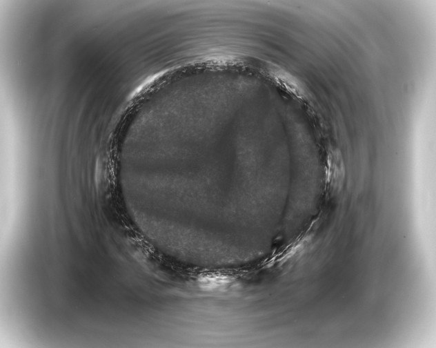 X0000084520776200703161547