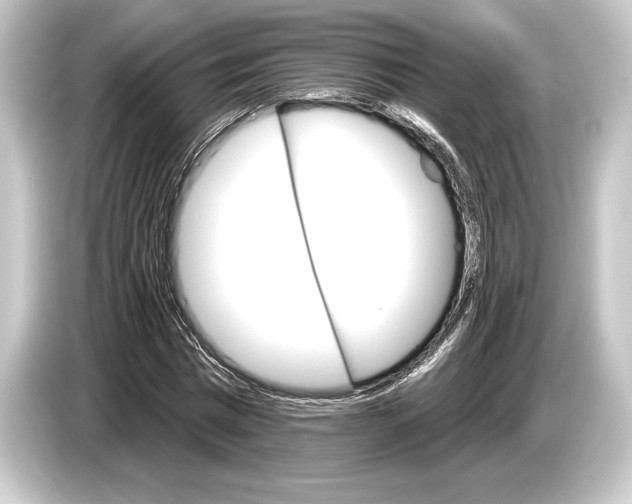 X0000084520777200703161547