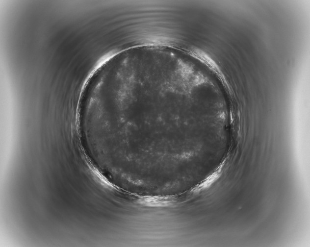 X0000084520780200703161547