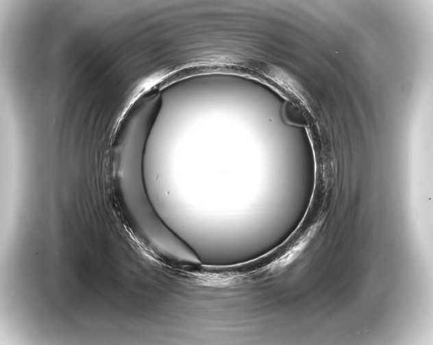 X0000084520781200703161547