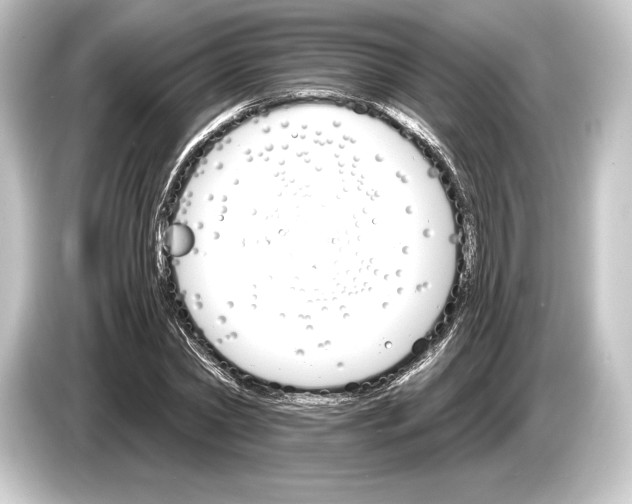 X0000084520782200703161547