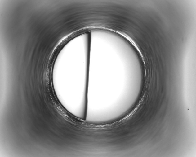 X0000084520783200703161547