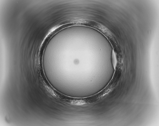 X0000084520784200703161547