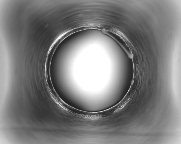 X0000084520788200703161547