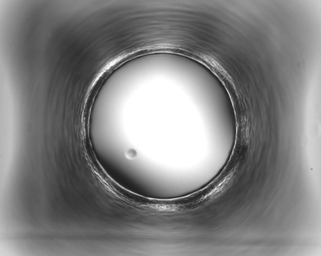 X0000084520789200703161547