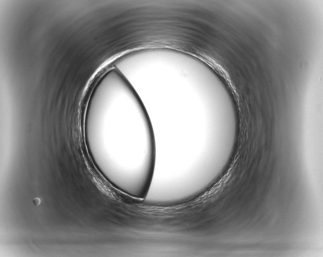 X0000084520792200703161547