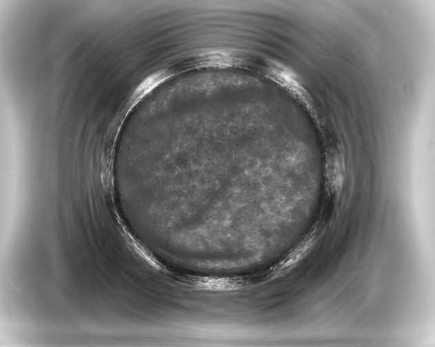 X0000084520794200703161547