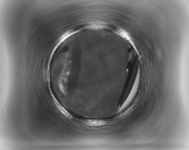 X0000084520795200703161547