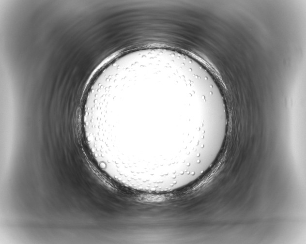 X0000084520798200703161547