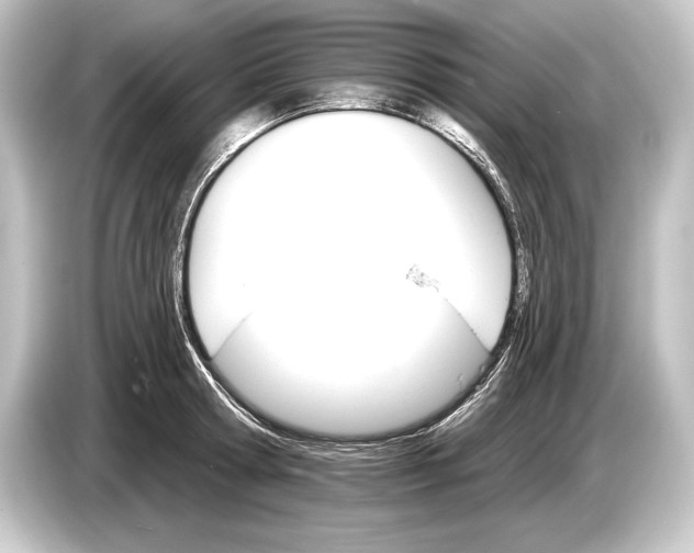 X0000084520802200703161546