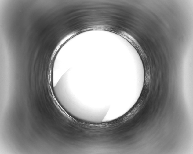 X0000084520804200703161546