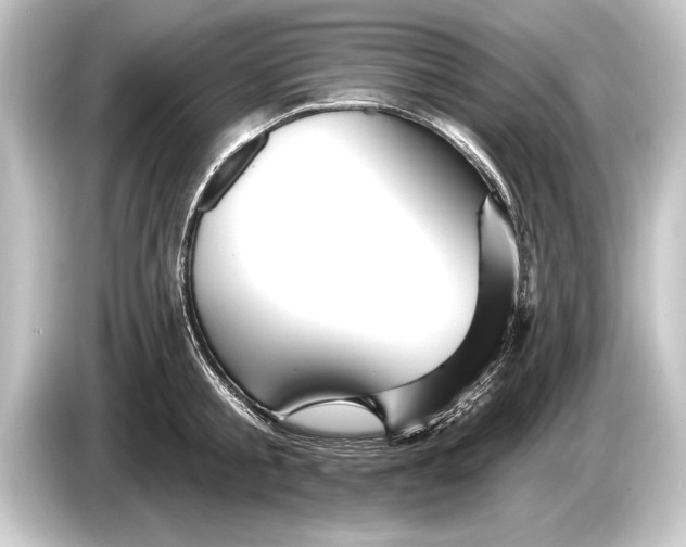 X0000084520805200703161546