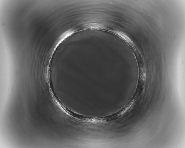 X0000084520806200703161546