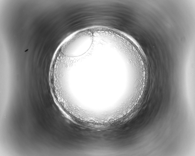 X0000084520807200703161546