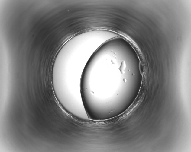 X0000084520809200703161546