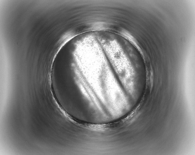 X0000084520810200703161546