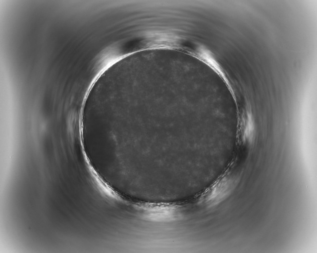 X0000084520811200703161546