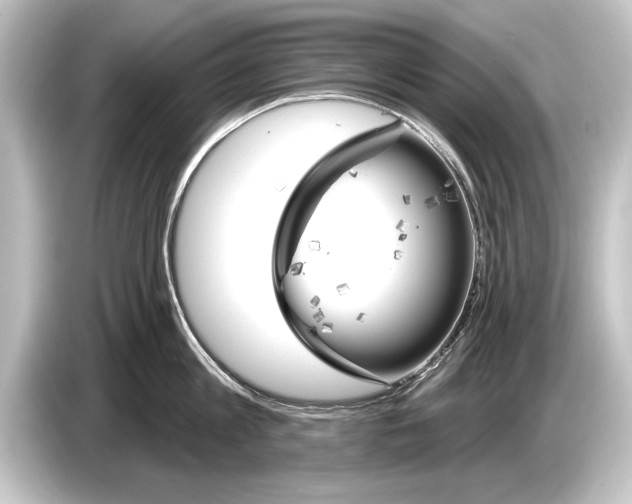 X0000084520813200703161546