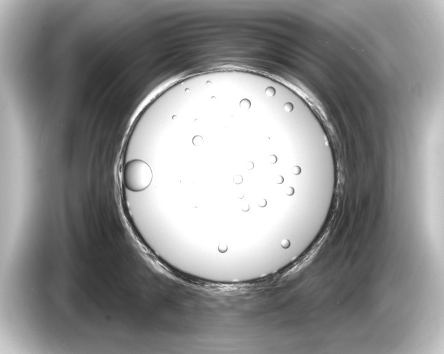 X0000084520814200703161546