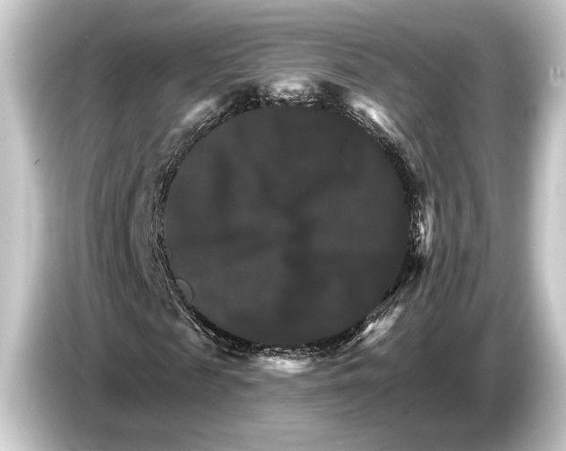 X0000084520817200703161546