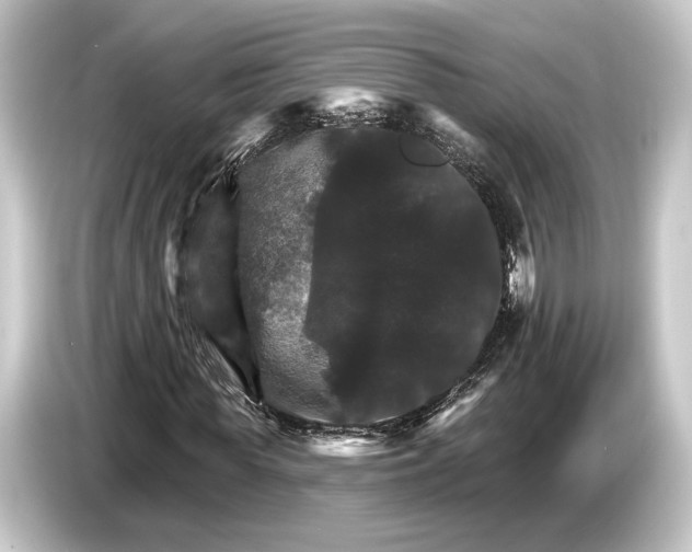 X0000084520819200703161546