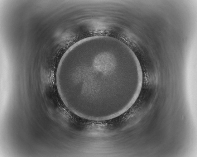 X0000084520820200703161546