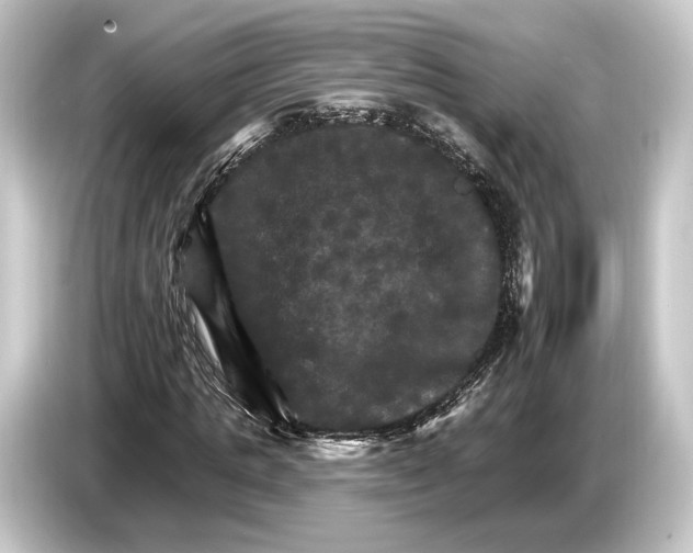 X0000084520821200703161546