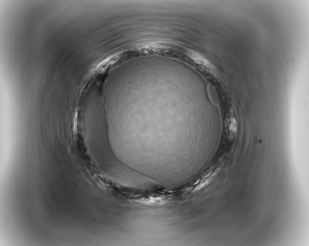 X0000084520822200703161546