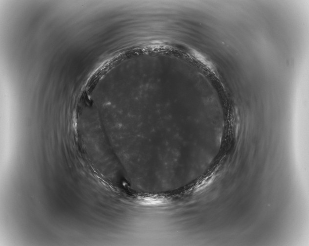 X0000084520823200703161546