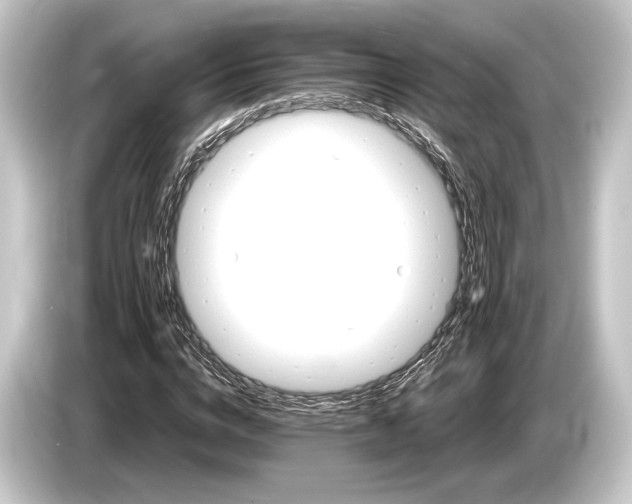 X0000084520824200703161546