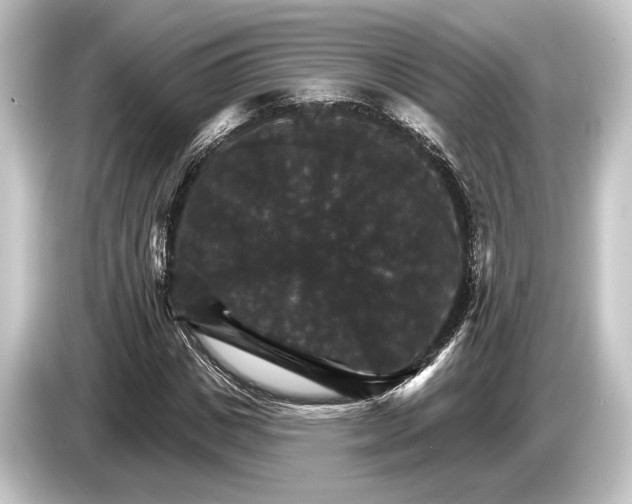 X0000084520825200703161546