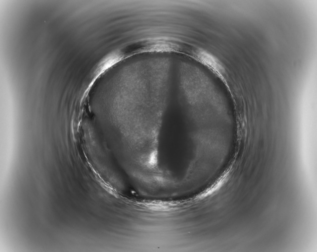 X0000084520827200703161546