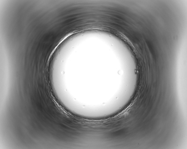 X0000084520828200703161546