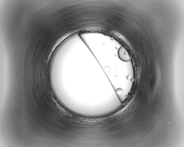 X0000084520829200703161546