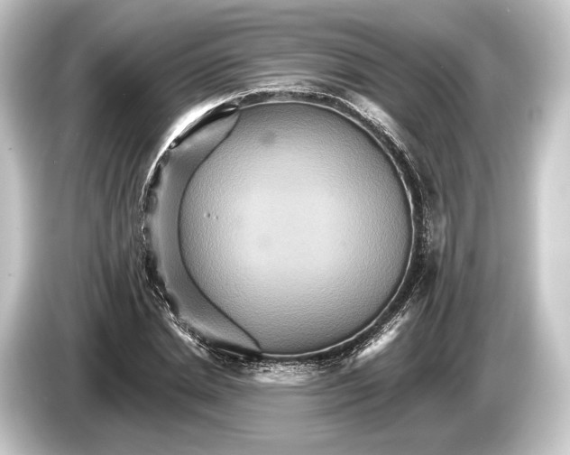 X0000084520830200703161546