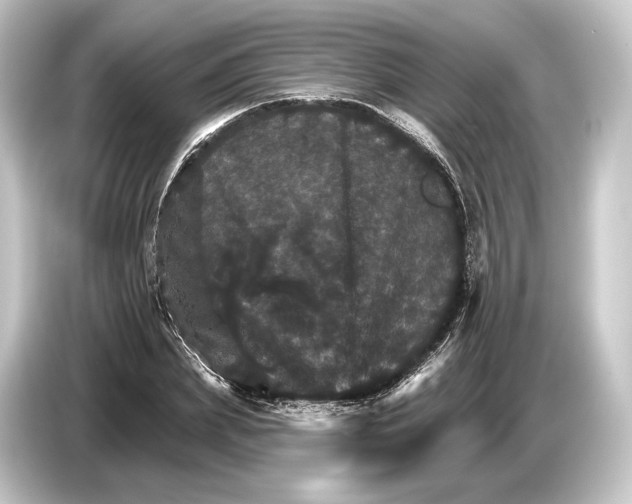 X0000084520831200703161546